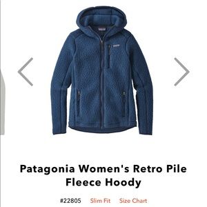 Patagonia retro pile hoody